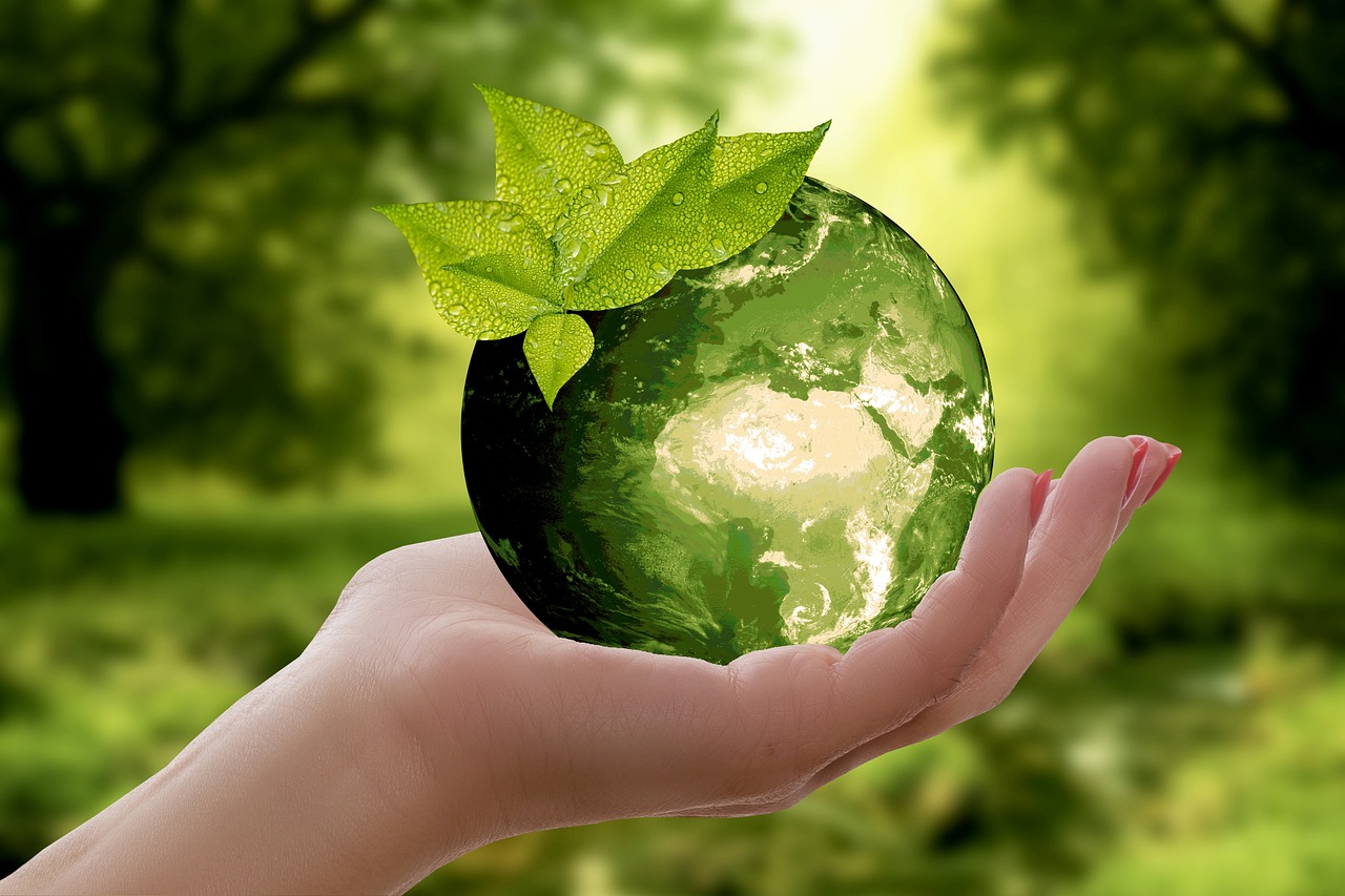 Natur Erde Nachhaltigkeit Warum achten so viele Unternehmen auf Nachhaltigkeit