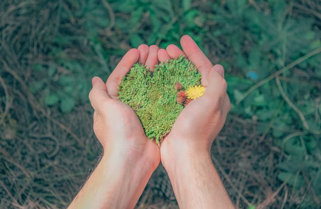 Umwelt Natur Herz grün nachhaltige-produktion.de Sidebar